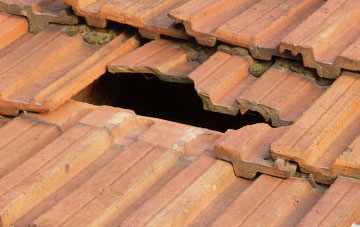 roof repair Glashvin, Highland